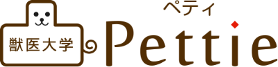 Pettie 獣医大学